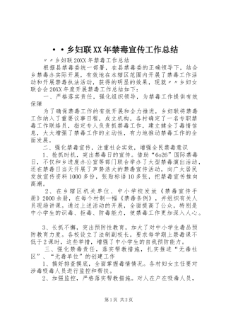 2024年乡妇联禁毒宣传工作总结