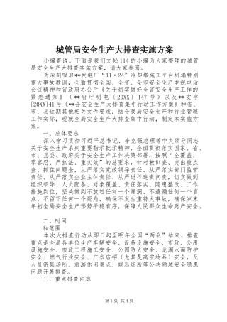 2024年城管局安全生产大排查实施方案