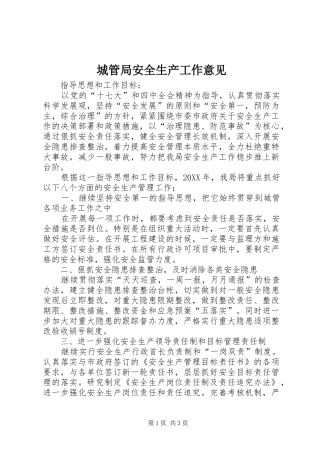 2024年城管局安全生产工作意见