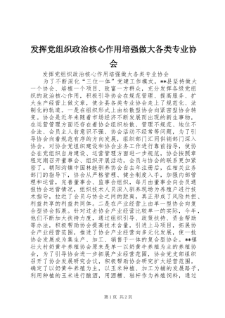 2024年发挥党组织政治核心作用培强做大各类专业协会