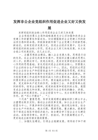 2024年发挥非公企业党组织作用促进企业又好又快发展