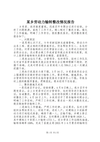 2024年乡劳动力输转整改情况报告