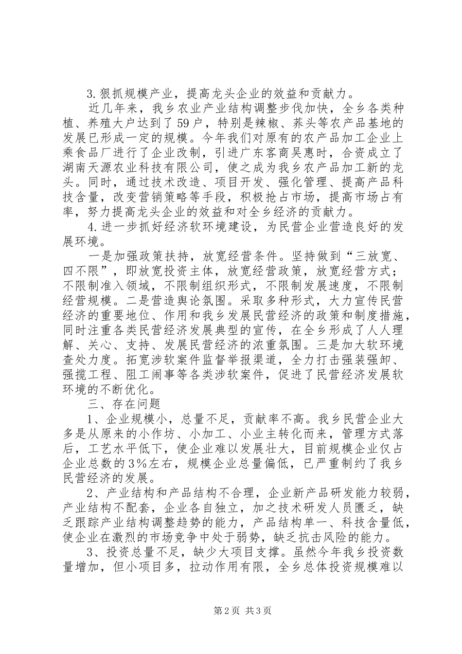 2024年乡民营经济工作总结_第2页