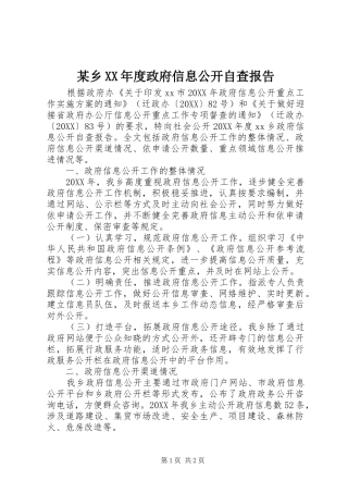 2024年乡年度政府信息公开自查报告