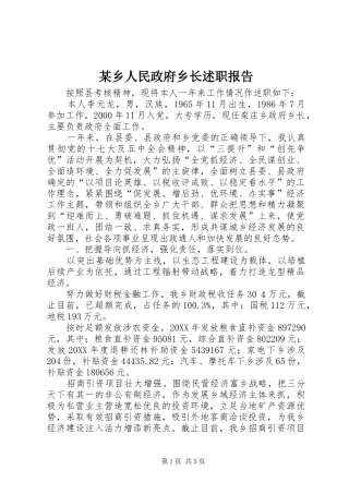 2024年乡人民政府乡长述职报告