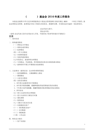 基金会年度报告模板