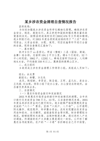 2024年乡涉农资金清理自查情况报告