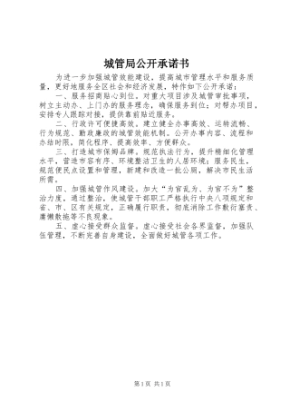 2024年城管局公开承诺书