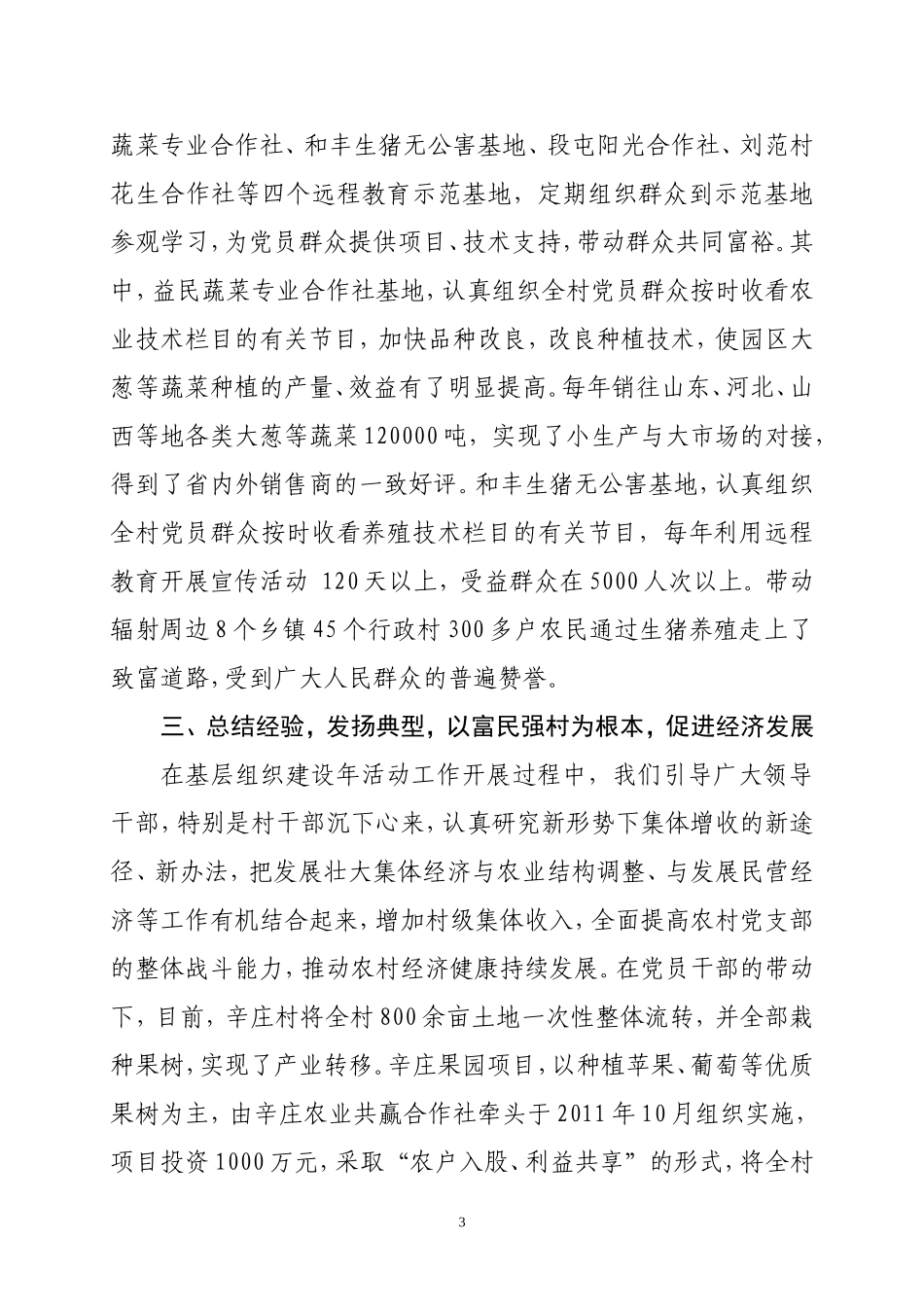 基层组织建设年经验总结及工作计划_第3页
