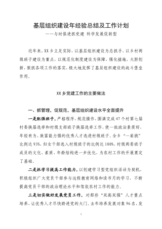 基层组织建设年经验总结及工作计划