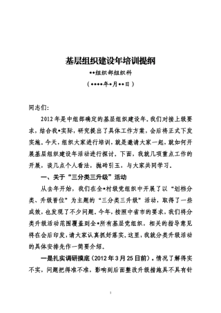 基层组织建设年培训提纲