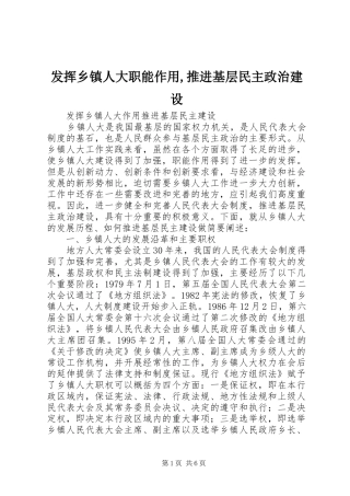 2024年发挥乡镇人大职能作用推进基层民主政治建设
