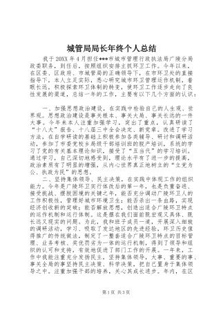 2024年城管局局长年终个人总结