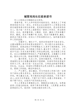 2024年城管局局长任前承诺书