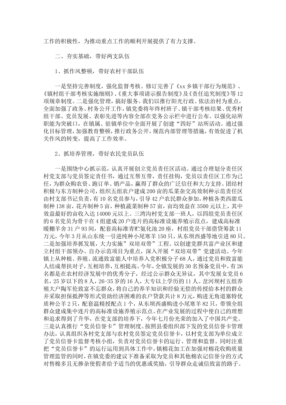 基层组织建设在促进镇域经济发展中的作用-总结报告模板_第2页