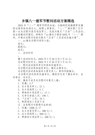 2024年乡镇八一建军节慰问活动方案