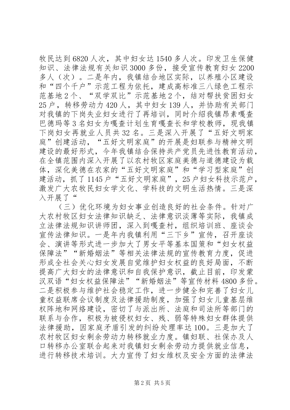 2024年乡镇妇女工作总结_第2页