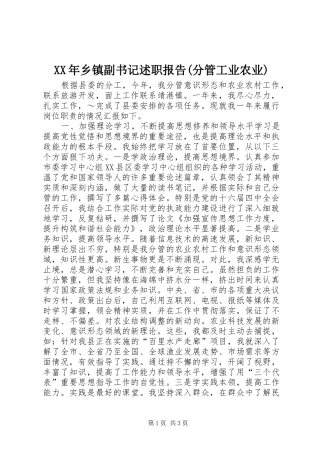2024年乡镇副书记述职报告分管工业农业
