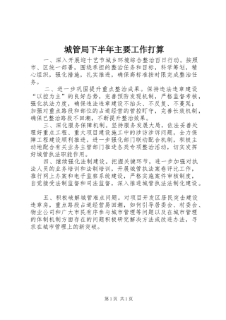 2024年城管局下半年主要工作打算