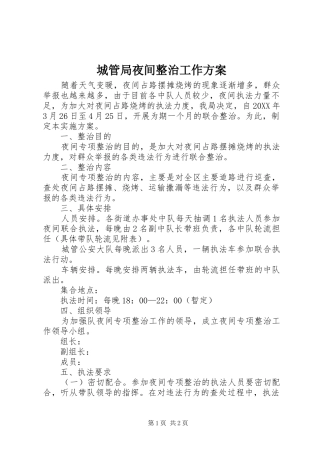 2024年城管局夜间整治工作方案