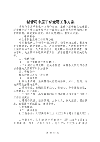 2024年城管局中层干部竞聘工作方案