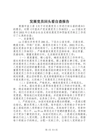 2024年发展党员回头看自查报告