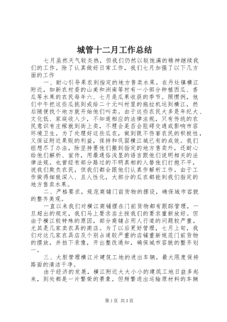 2024年城管十二月工作总结