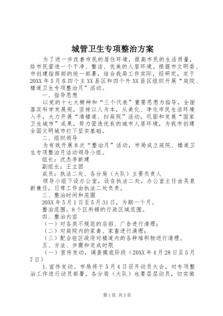 2024年城管卫生专项整治方案