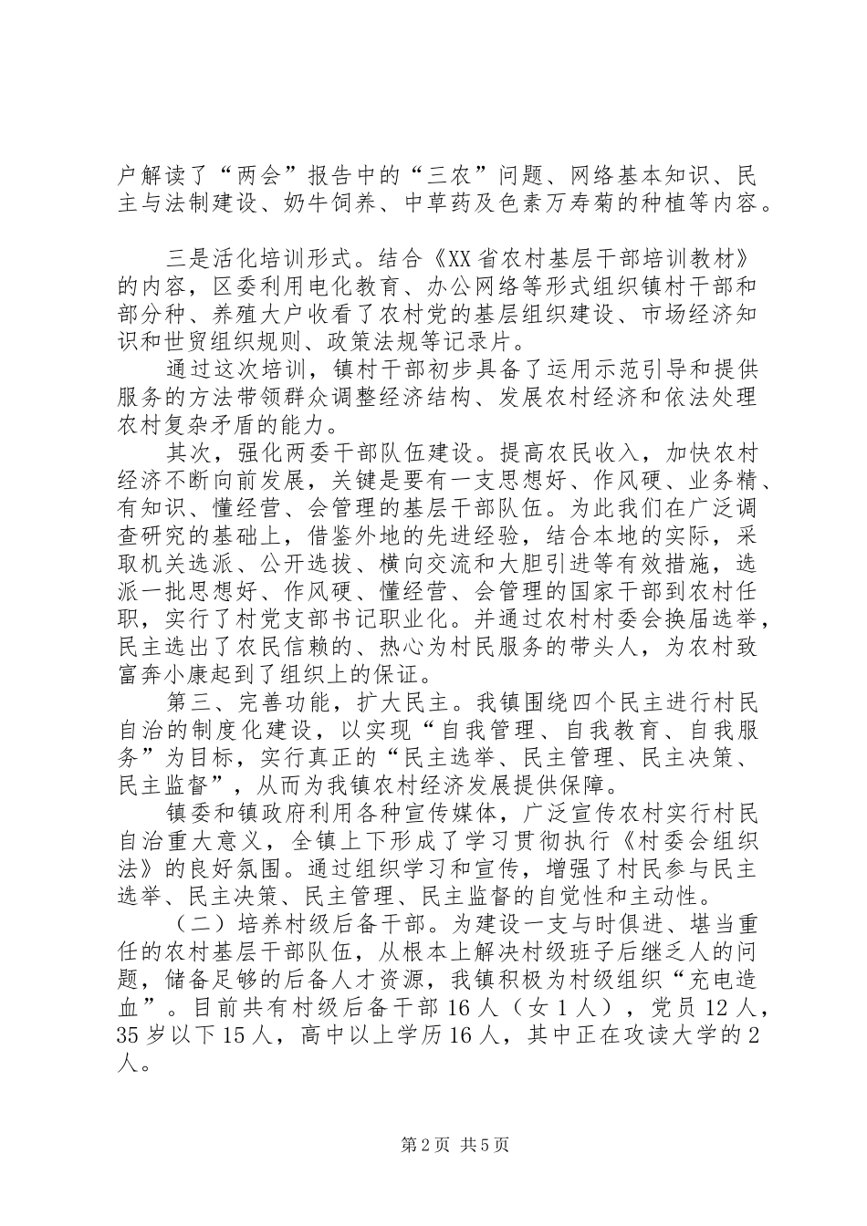 2024年乡镇农村基层政权建设总结乡镇_第2页