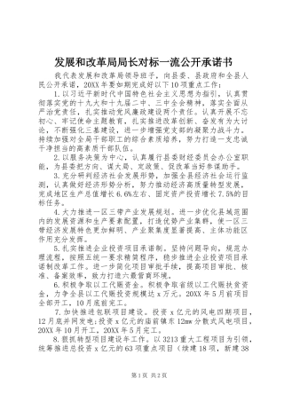2024年发展和改革局局长对标一流公开承诺书