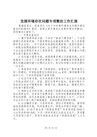 2024年发展环境存在问题专项整治工作汇报