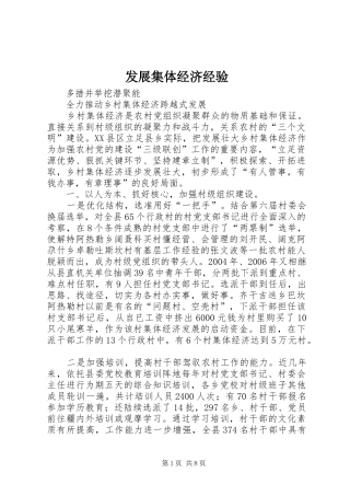 2024年发展集体经济经验