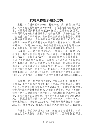2024年发展集体经济组织方案