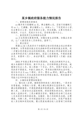 2024年乡镇政府服务能力情况报告