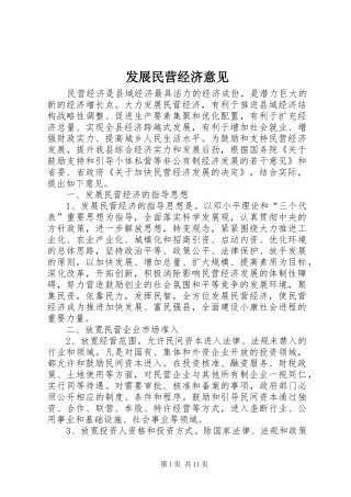 2024年发展民营经济意见