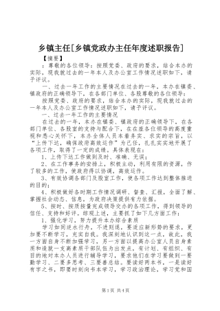 2024年乡镇主任乡镇党政办主任年度述职报告