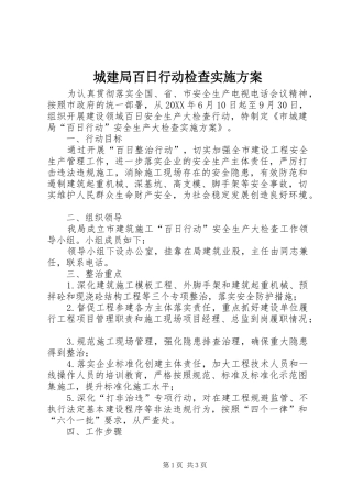 2024年城建局百日行动检查实施方案