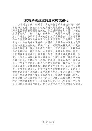 2024年发展乡镇企业促进农村城镇化