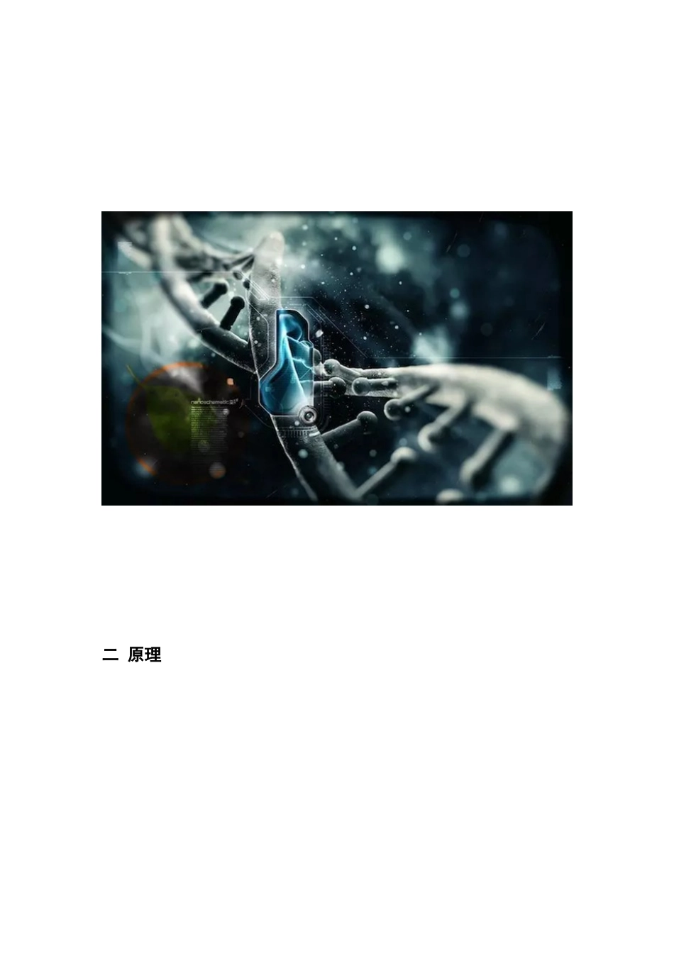 基因编辑技术_第2页