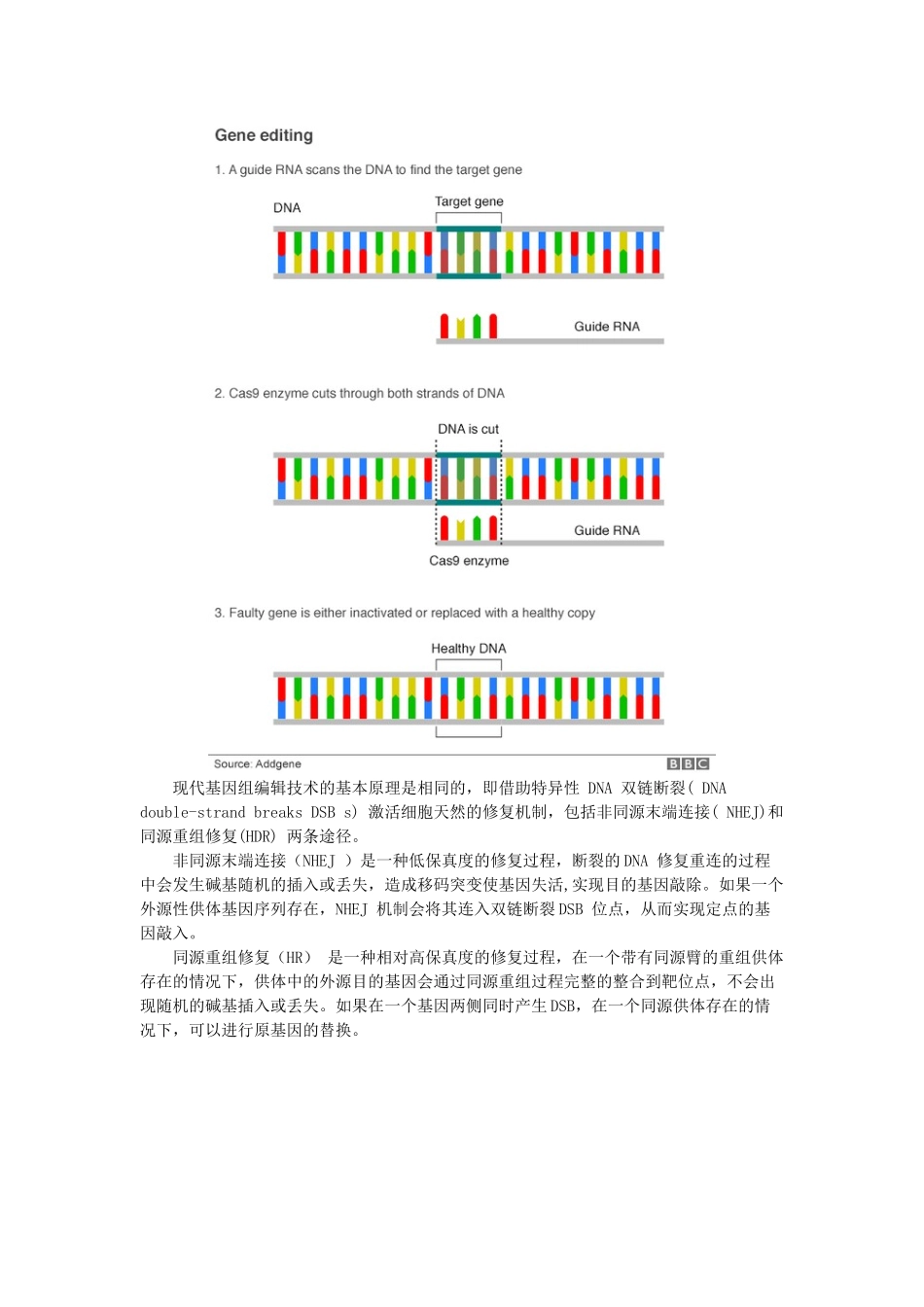 基因编辑技术_第3页