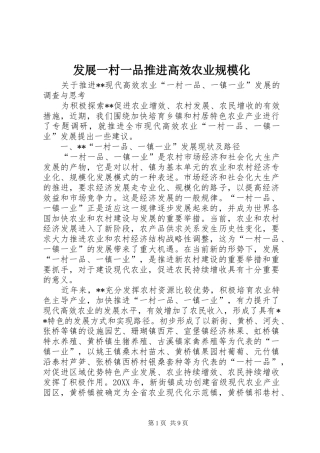 2024年发展一村一品推进高效农业规模化