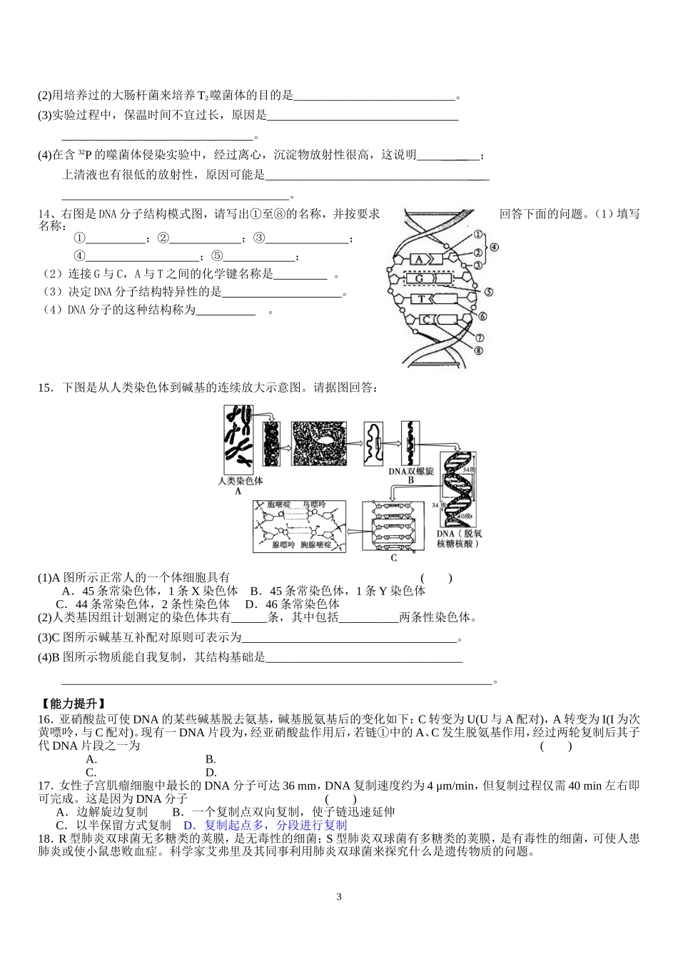 基因的本质-(复习题)_第3页