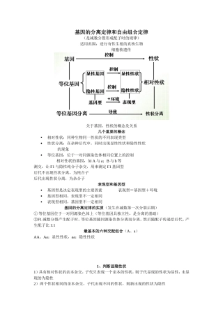 基因的分离定律和自由组合定律的详细比较+适应性练习