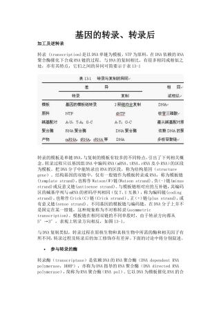 基因的转录、转录后调控