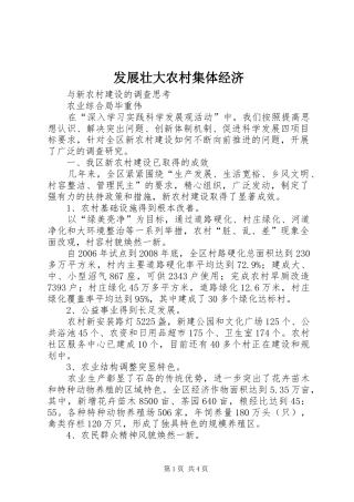 2024年发展壮大农村集体经济