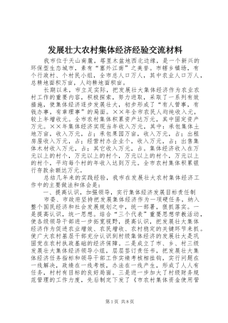 2024年发展壮大农村集体经济经验交流材料