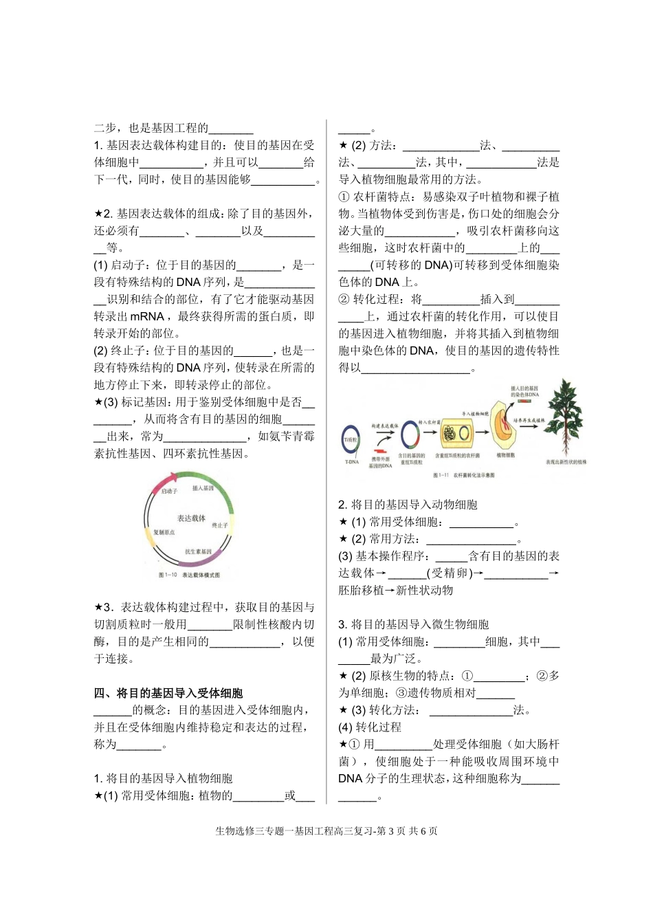 基因工程基础知识填空_第3页