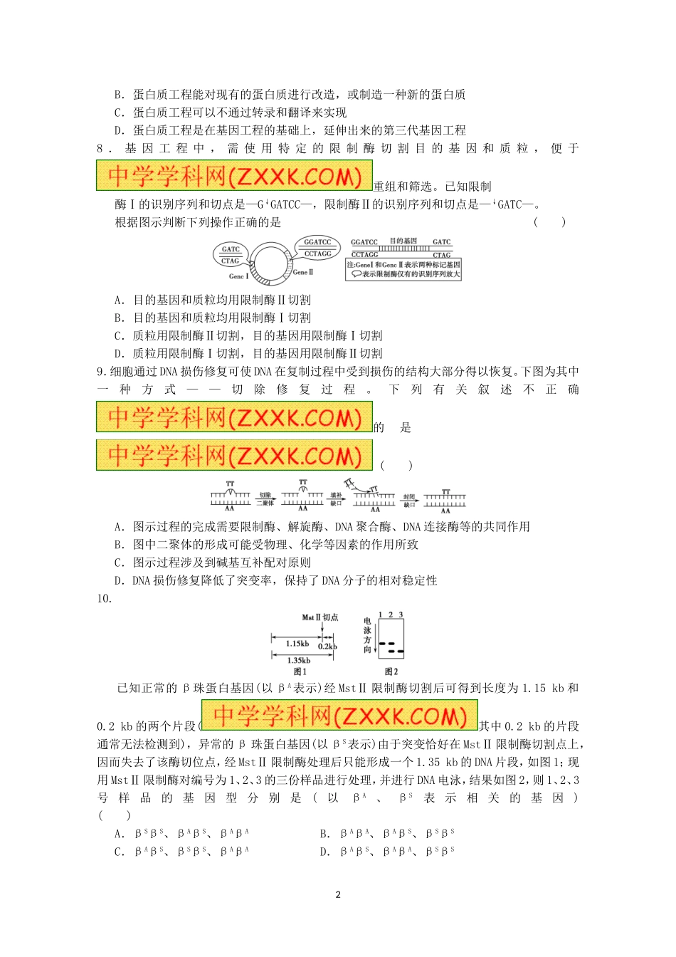 基因工程练习_第2页
