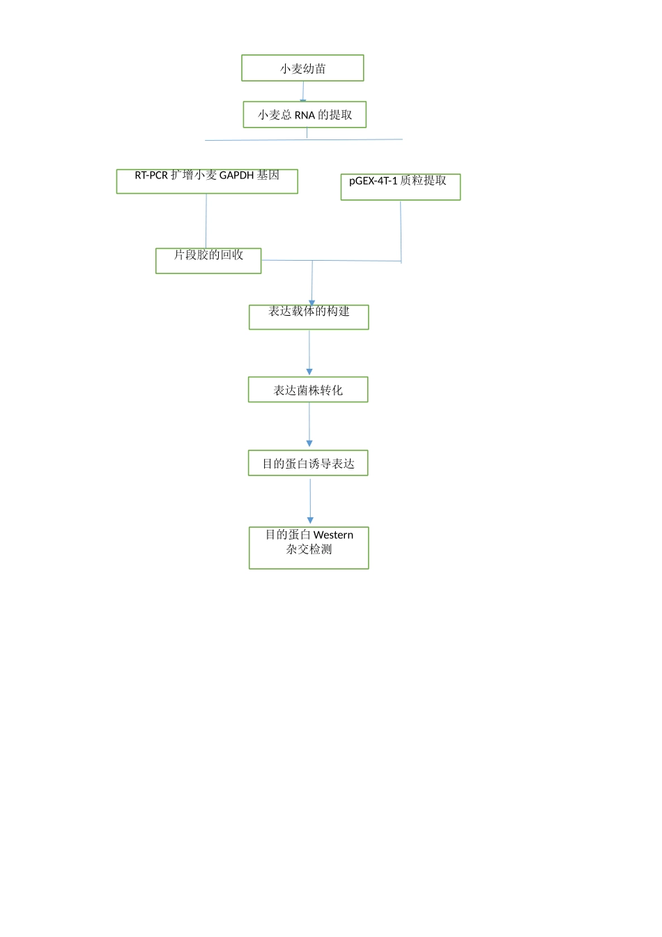 基因工程实验报告_第3页