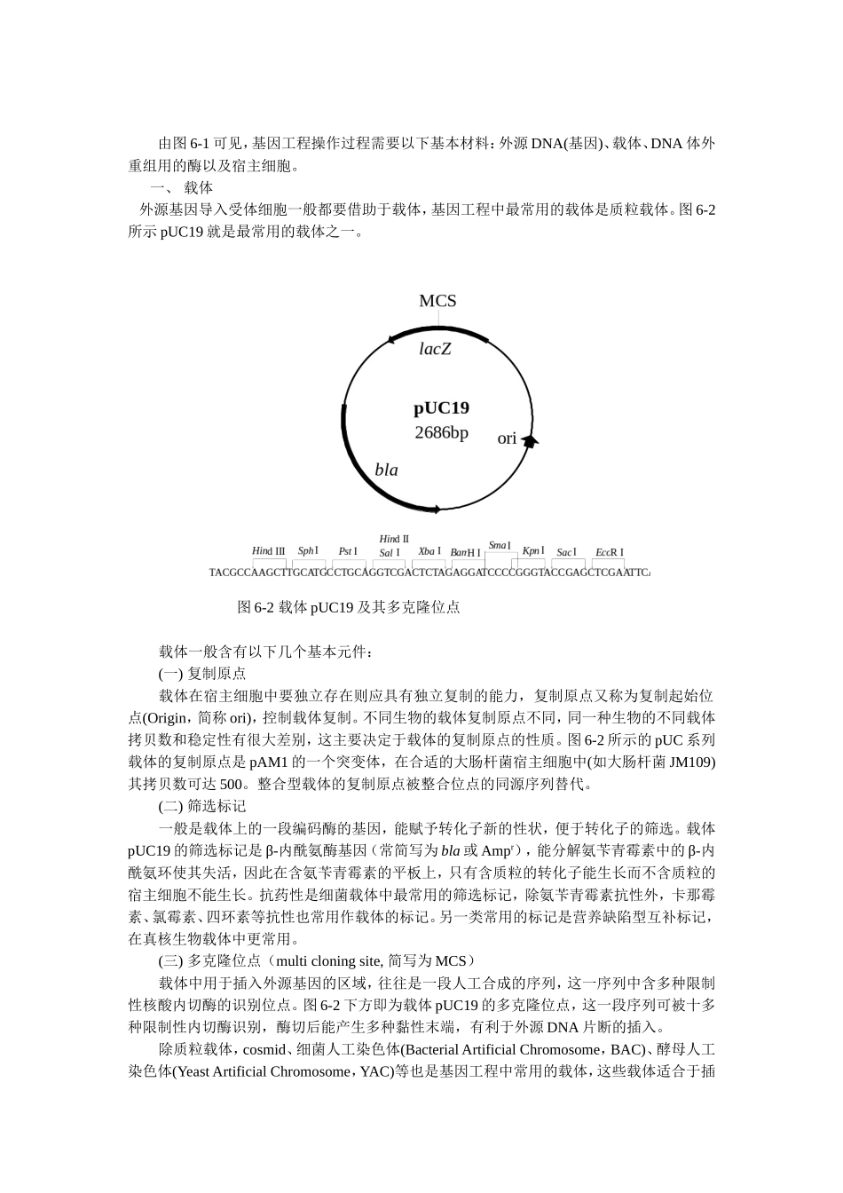 基因工程育种技术_第2页
